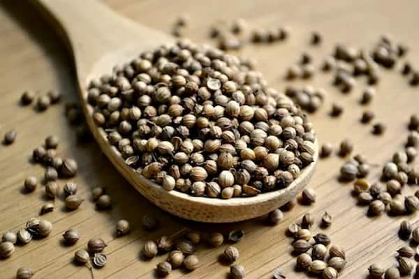 تصویر 4 از قیمت خرید تخم گشنیز کاشت با فروش عمده